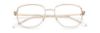 Picture of Paradigm Eyeglasses 21-02