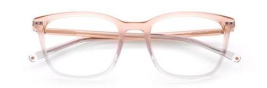 Picture of Paradigm Eyeglasses 19-22