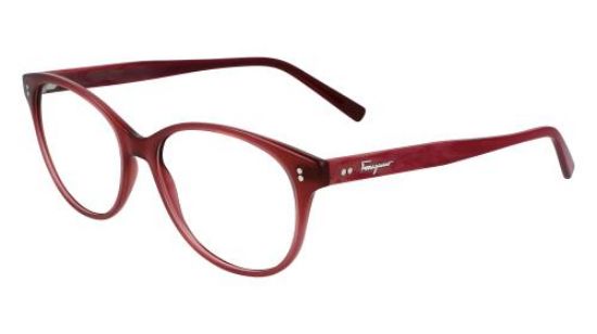 Salvatore Ferragamo Eyeglasses SF2911