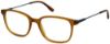 Picture of New Balance Eyeglasses NB 529