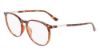 Picture of Calvin Klein Eyeglasses CK21522