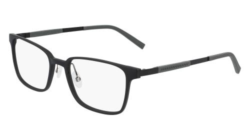 Picture of Flexon Eyeglasses EP8007