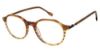 Picture of Sperry Eyeglasses FRANKLIN