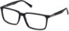 Picture of Harley Davidson Eyeglasses HD0906