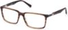 Picture of Harley Davidson Eyeglasses HD0906