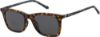 Picture of Fossil Sunglasses 3109/G/S