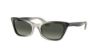 Picture of Ray Ban Sunglasses RB2299