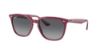 Picture of Ray Ban Sunglasses RB4362