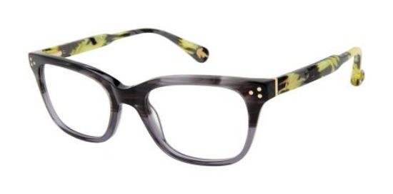 Picture of Robert Graham Eyeglasses ZEKE