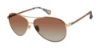 Picture of Robert Graham Sunglasses ASHER