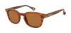 Picture of Robert Graham Sunglasses HECTOR