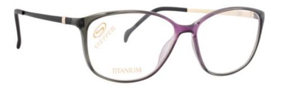 Picture of Stepper Eyeglasses 30099 SI