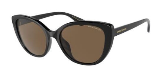 Picture of Armani Exchange Sunglasses AX4111SU