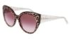 Picture of Bebe Sunglasses BB7231