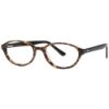 Picture of Genius Eyeglasses G506