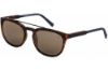 Picture of Timberland Sunglasses TB9181