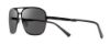 Picture of Revo Sunglasses HORIZON-A