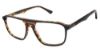 Picture of C-Life Eyeglasses KAZUKI