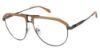 Picture of C-Life Eyeglasses NATE