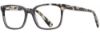 Picture of Adin Thomas Eyeglasses AT-448