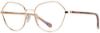 Picture of Alan J Eyeglasses AJ-512