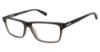 Picture of Cremieux Eyeglasses Royce