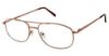 Picture of Cruz Eyeglasses Hester St