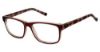 Picture of New Globe Eyeglasses M433