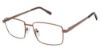 Picture of New Globe Eyeglasses M595-P
