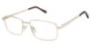 Picture of New Globe Eyeglasses M595-P