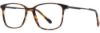 Picture of Scott Harris Eyeglasses SH-X 014