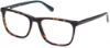 Picture of Gant Eyeglasses GA3253
