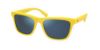 Picture of Polo Sunglasses PH4167