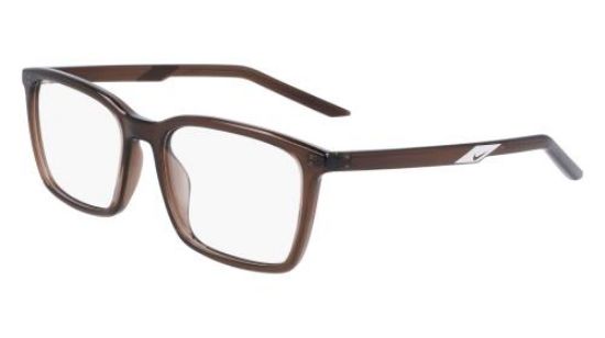 Picture of Nike Eyeglasses 7256