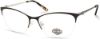 Picture of Harley Davidson Eyeglasses HD0561