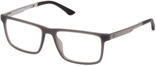 Picture of Harley Davidson Eyeglasses HD0922