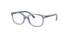 Picture of Ray Ban Jr Eyeglasses RY1900