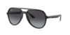 Picture of Ray Ban Sunglasses RB4376