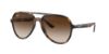 Picture of Ray Ban Sunglasses RB4376