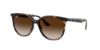Picture of Ray Ban Sunglasses RB4378