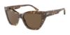 Picture of Emporio Armani Sunglasses EA4176F