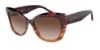Picture of Giorgio Armani Sunglasses AR8161