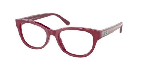 Picture of Coach Eyeglasses HC6187F