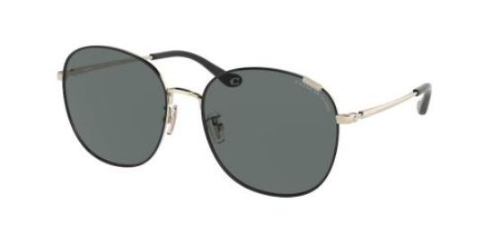 Picture of Coach Sunglasses HC7134