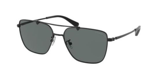 Picture of Coach Sunglasses HC7137