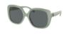 Picture of Coach Sunglasses HC8292F