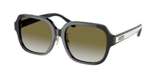 Picture of Coach Sunglasses HC8335F