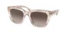 Picture of Coach Sunglasses HC8318F