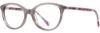 Picture of Alan J Eyeglasses AJ-514