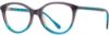 Picture of Alan J Eyeglasses AJ-514